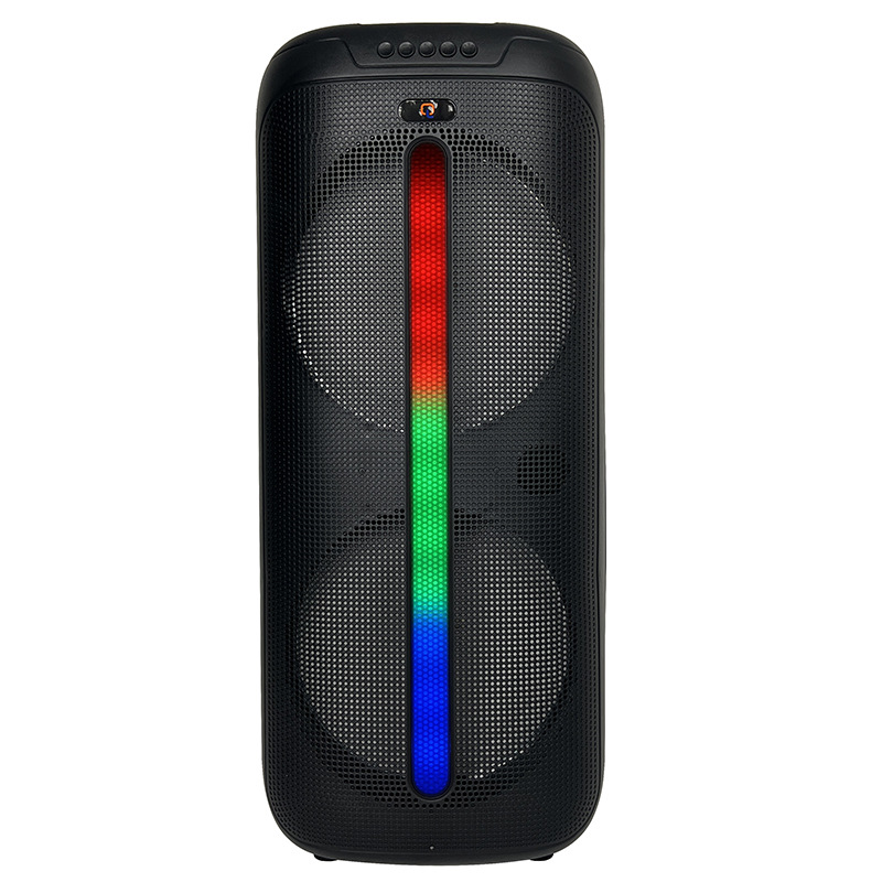 Hot sale transfronterizo doble de 8 pulgadas 10W altavoces de karaoke pequeña celebración Bluetooth K canción con cable