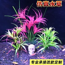 鱼缸造景小水兰阴性水草懒人水草鱼缸装饰活体莫斯水草辣椒榕工厂