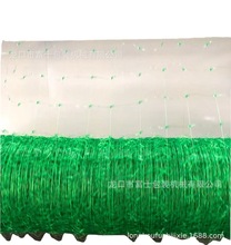 ������B�W�Cе �����W�O�� ��ꖾW�Cе ��ʿ�Cе