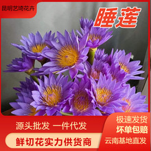 ˯ɏ��ϻ����r�����l���仨���廨�b[��һ�����l���]�����r��