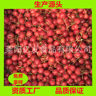 �F؛���l  ����t���� ���ҹ��� ������ �ك�����