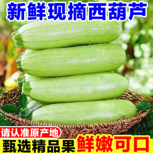 ���r�����J�r���ԷN�߲ˮ����FժС�ǹ��������¹����ϴ��ۿɿ�