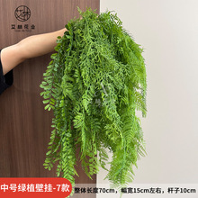 �к���ֲ�ڹ�-7��羳�ָ�������˹ާ�ڹ�ާ��ֲ���������װ�μ�