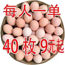 农家散养土鸡蛋柴鸡蛋新鲜五谷混合虫草喂养营养月子蛋笨鸡蛋