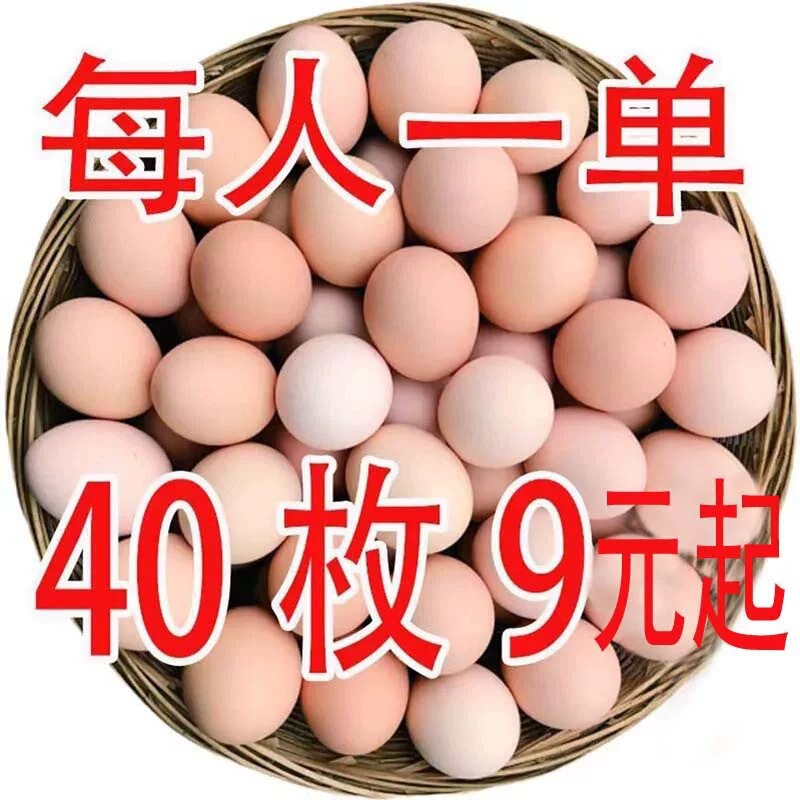 Farm-Raised Free-Range Eggs, Fresh Mixed Grain Eggs with Cordyceps, Nutritious Confinement Eggs, Free-Range Eggs