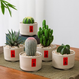 ������С���������ƿƶ���ֲ���k���ҾGֲ�҃Ⱥ��B�λ�����辰