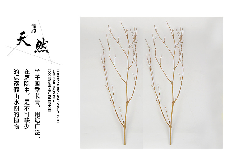 竹子_02.jpg