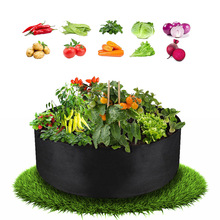 �߲˷Nֲ���A�Οo������ֲ���������L��͸��ë��ֲ�ﻨ�ܿ��ﻨ��