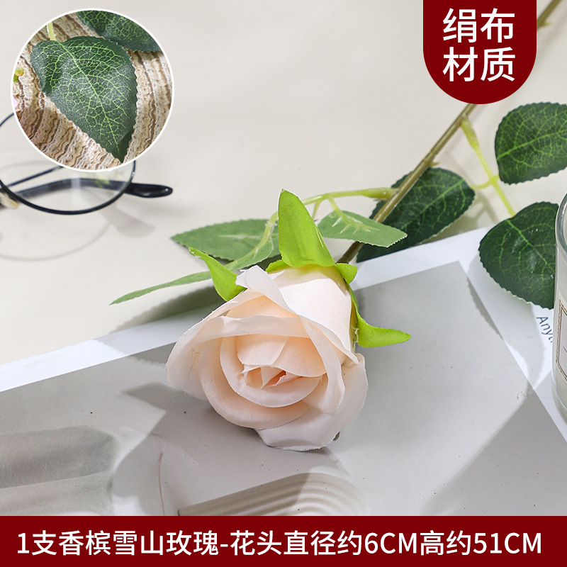 스노우 마운틴 로즈 1개 - 샴페인 컬러