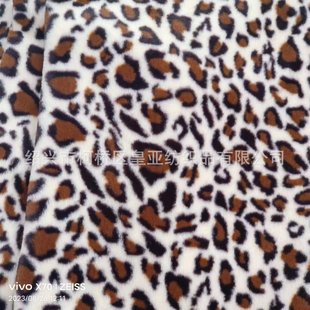 ���l����ëӡ�����y���� 600G�Ҿӷ��b������Ь�Ĝ�]�q������