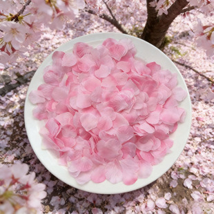 ��˺�������滨��ٻ����֒��������һ��ѻ���Y�b����ձ�������