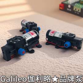 洗车水泵品牌24伏隔膜泵干洗机液泵喷雾器用隔膜泵家用12v洗车泵