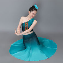 傣族舞蹈服傣族服裝新款練功裙民族傣族孔雀舞魚尾半身裙藝考服裝