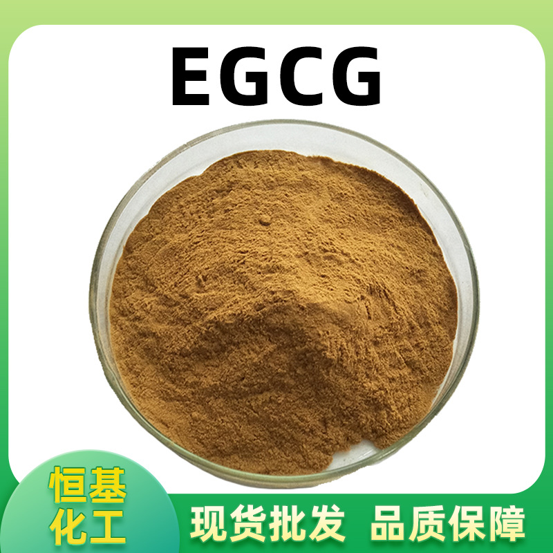 表没食子儿茶素98%100g/袋多规格EGCG表儿茶素绿茶提取物量大从优
