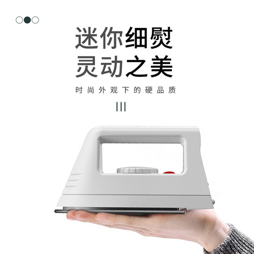 Factory Small Iron Mini Steamer Travel Iron New Student Dormitory Dedicated Low Power Iron
