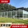 种植育苗观光智能大棚