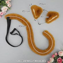 ��չ�����^l�؈��β�Ͷ���Ԫ�Ɍ�cos�l������F���Fβ���b