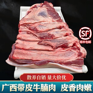 ���r�F����Ƥţ���� ��Ƥţ�� �V��ɢ�B��Ƥţ�������Sţ�������