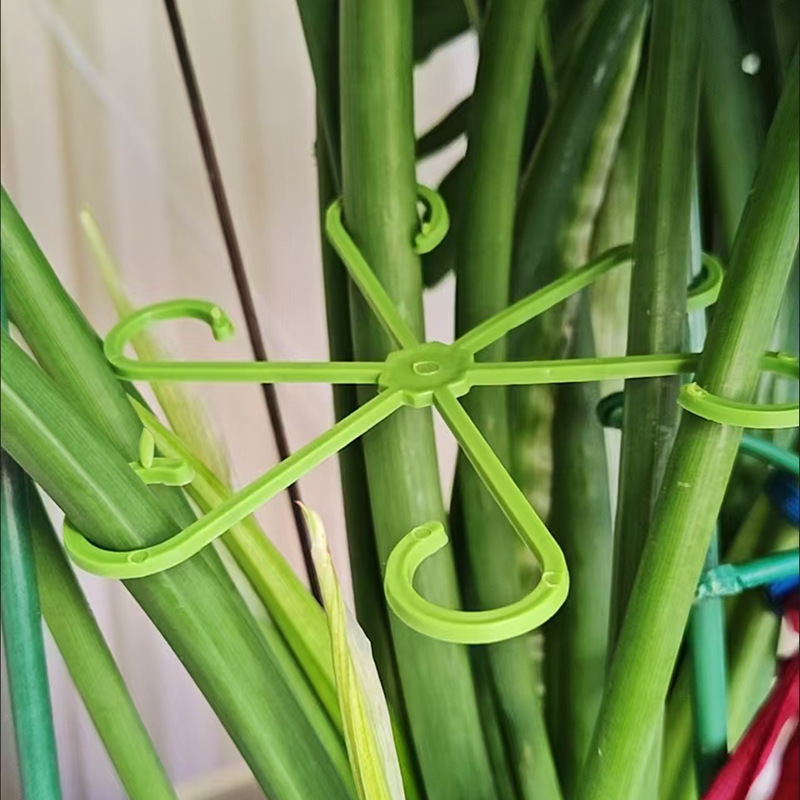 Soporte de tallo de planta de bambú de tortuga de espalda de tortuga marco de soporte plegable auxiliar rama marco de soporte de flores de jardinería