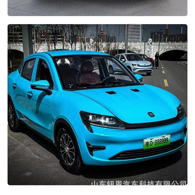 新款新能源大迈电动四轮车家用女士代步车小型轿车油电两用老头乐