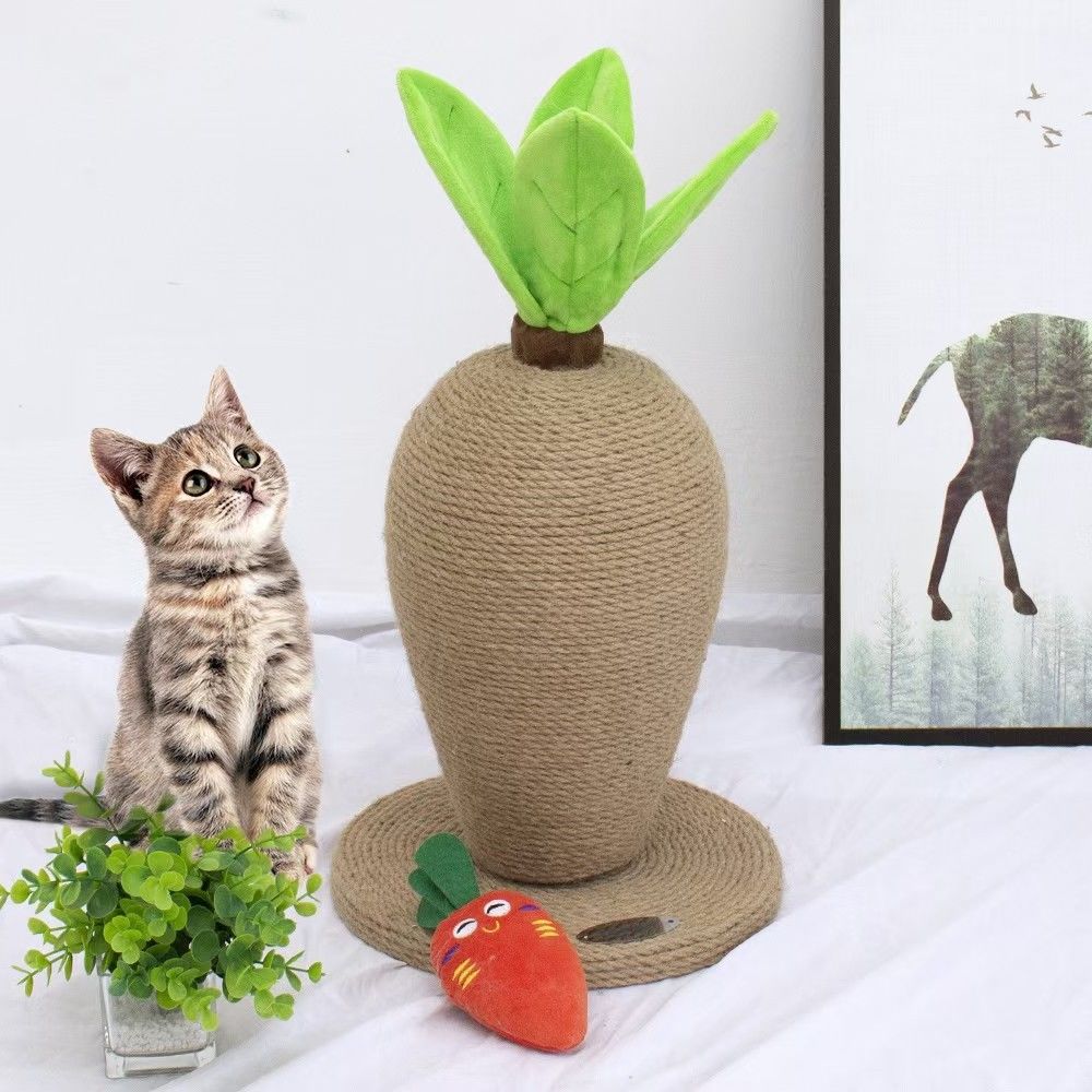 Настоящая редька