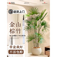 ��ɽ����͏d�Gֲ�������Դ���ֲ���k���҃���լ�����՚��ļ����B