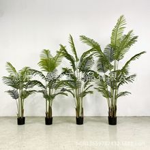 ɢβ Pβ ҃bҾӔ[Gֲֲl쾰