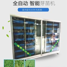 全自动芽苗菜机 苗菜生产设备 豆苗菜机商用大型 厂家供应 迪生