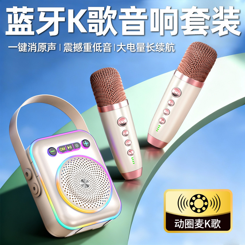 Home Outdoor Ktv Set Professional Grade Karaoke Audio Microphone Bluetooth Wireless Mobile Phone Tv Universal Microphone