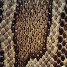 ��Ƥ ��������Ƥ ����Ƥ ������Ƥ Խ��/������Ƥ ��������Ƥ�o