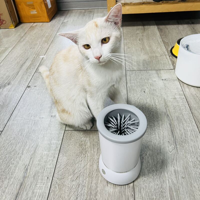 国境を越えた爆発的なペット洗浄カップ知能全自動犬猫清潔爪清潔ペット洗浄装置|undefined