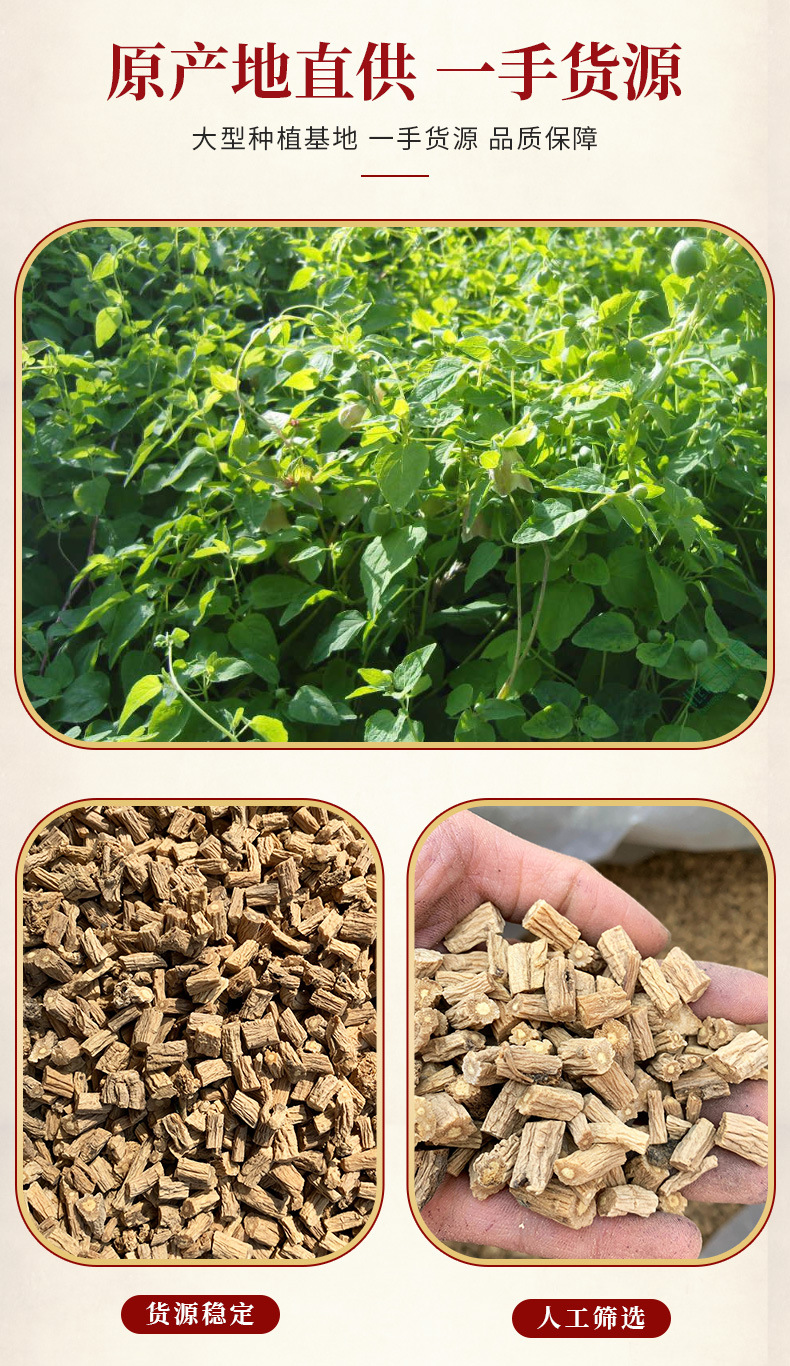 Dried Codonopsis Root Slices Dang Shen Gansu Herb for Soup and Tea 500g overview