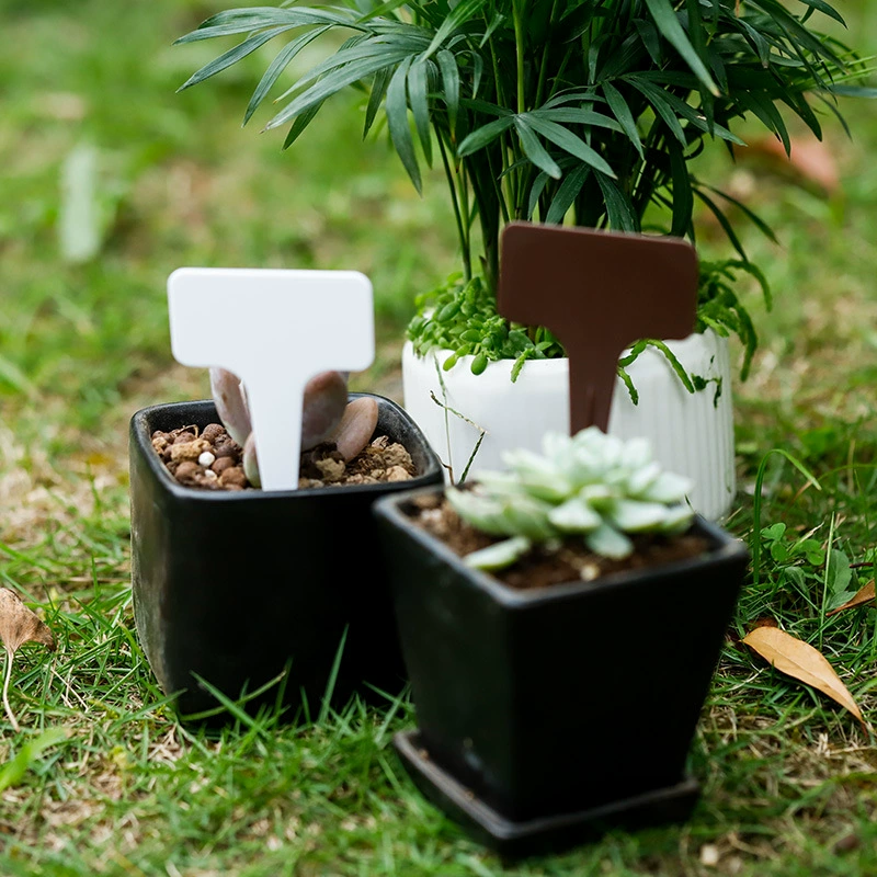 ПВХ пластик Садоводство этикетка вставка ярлыка цветок знак Зеленое растение ярлык сочных растений Метка Орхидея Специальная цена