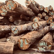 杜英QUA杂木 白杂木 红杂木家具装修 园林古建材 防腐木料 雕刻用