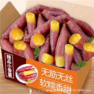 �V��/����С������ɽ�����������r�F����ָ�t�ퟟ���ع�һ�����l