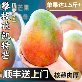 西式糕点;饼干;方便面类