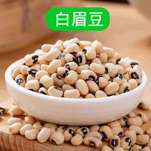 ��ü����؛��׽��������׶���С�ױⶹ��؛����s�Z�Ҝ������l