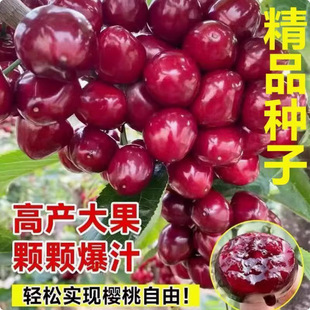 ���|���ҷN��ɽ���ҷN�ӹ���N��ë���ҷN��܇���ӷN�Ӵ���ҷN��