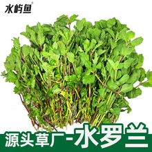 ˮ�_�mˮ��ɢ�bˮ���~���쾰�[����ˮ���b�ˮ�����^�p�󾰲����l