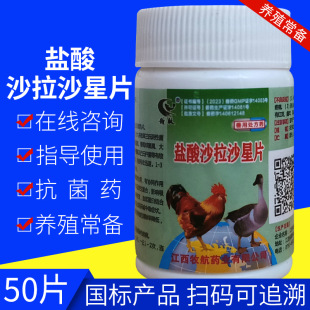 �����ușƬ�ȴ�ɳ���}��ɳ��ɳ��Ƭ50Ƭ�u���Z����ș����ɳ�ǫFș