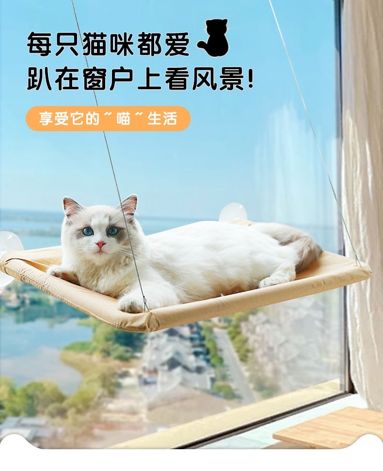 c6a82385-91f5-40e7-9426-56ab7789d8c9.jpe