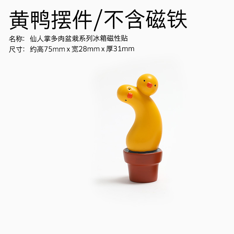 仙人掌盆栽屬性-09