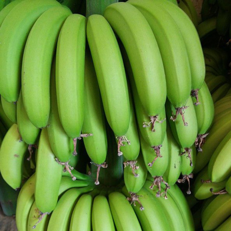 Bananas Fragrant and sweet Guangdong Alpine fresh natural Season fresh fruit Full container wholesale One piece wholesale