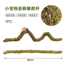 �羳������������̦�\����޽��،m�ľ�з����������֧���ٗl�쾰