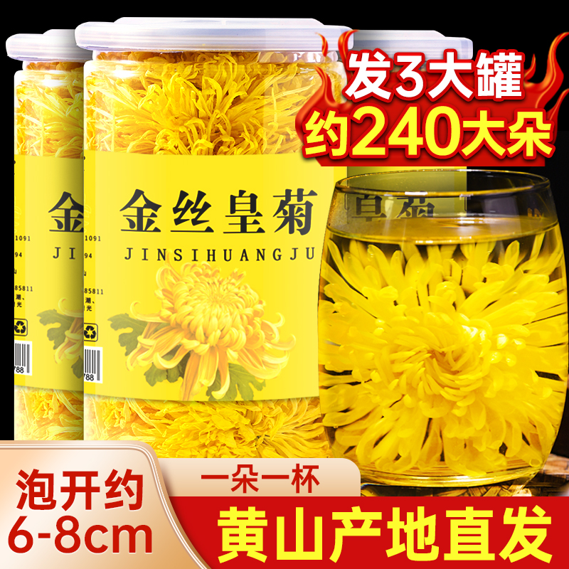 菊花茶金丝皇菊非特级正黄菊一朵一杯大去火贡菊胎菊热花草茶