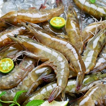 大蝦鮮活速凍超大基圍蝦青島特大蝦冷凍鮮對蝦活凍蝦蝦類海鮮水產