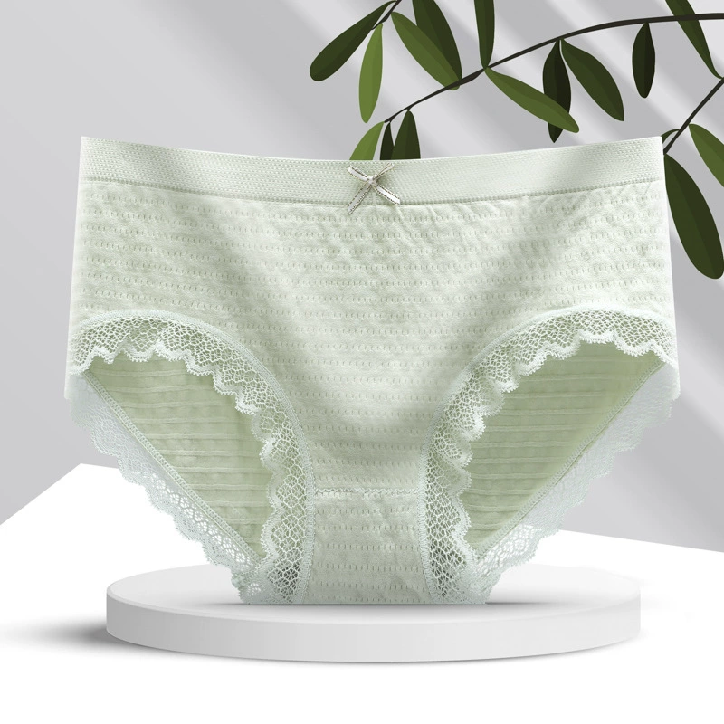 Pack, trousers, sexy lace pants, mid rise, plus size