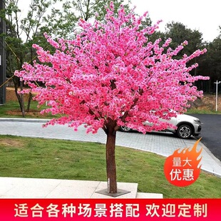 �����һ���٘�������͘���ͷ���ѻ����c�b��Ҙ�S��ֱ�N��