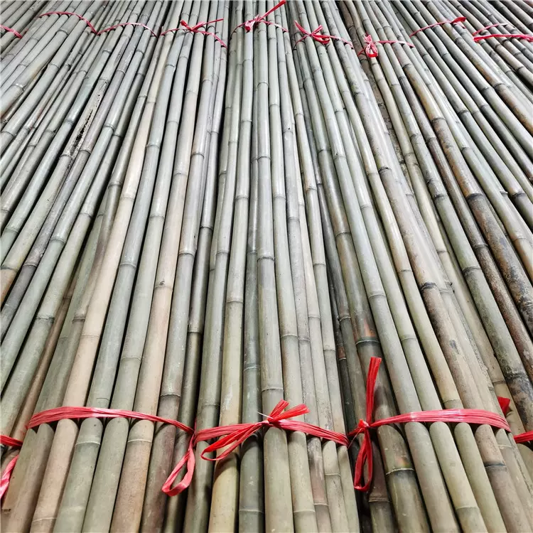 定制竹竿规格，福建苦竹，干燥竹竿，农用支撑竿