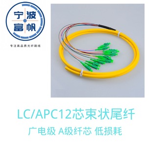 Lc/Apc-Sm/9/125Um Single-Mode 12-Core Bundled Pigtail Fiber Optic Factory Direct Sale 1.5m Fiber Optic Patch Cable